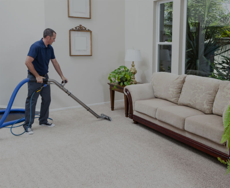 commercial and residential carpet cleaning dark